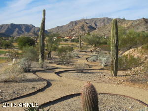 2069 E Saltsage Dr, Phoenix, AZ 85048 photo 21