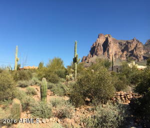 3157 N Prospectors Rd, Apache Junction, AZ 85119 photo 5