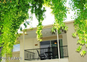 4394 N 36th St, Phoenix, AZ 85018 photo 29