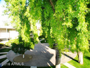 4394 N 36th St, Phoenix, AZ 85018 photo 31