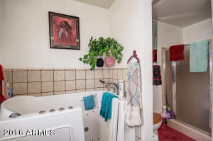 6938 Exmoor Dr, Mesa, AZ 85208 photo 22