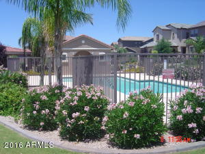 1988 E Harrison St, Gilbert, AZ 85295 photo 23