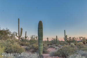 65 S La Barge Rd, Apache Junction, AZ 85119 photo 56