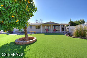 2832 E Paradise Dr, Phoenix, AZ 85028 photo 23