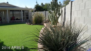 2832 E Paradise Dr, Phoenix, AZ 85028 photo 24