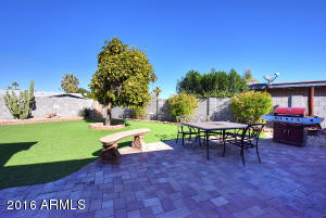 2832 E Paradise Dr, Phoenix, AZ 85028 photo 28