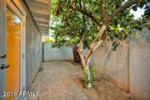 4936 E Amelia Ave, Phoenix, AZ 85018 photo 69