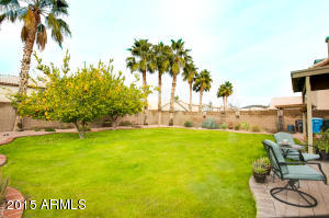 2050 E Patrick Ln, Phoenix, AZ 85024 photo 20