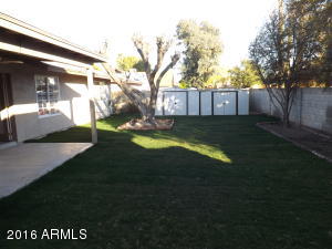 1215 E Jensen St, Mesa, AZ 85203 photo 45