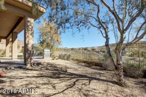 407 E Desert Wind Dr, Phoenix, AZ 85048 photo 51