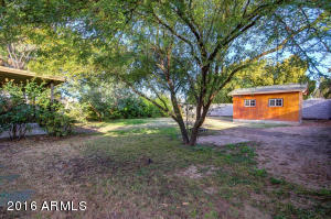 4712 E Cypress St, Phoenix, AZ 85008 photo 23