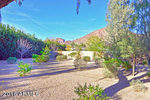 5301 E Mariposa St, Phoenix, AZ 85018 photo 35