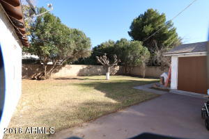3901 E Oak St, Phoenix, AZ 85008 photo 6