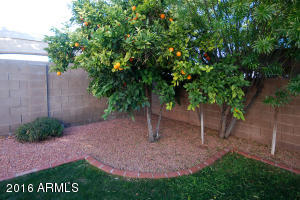 2541 E Grovers Ave, Phoenix, AZ 85032 photo 11