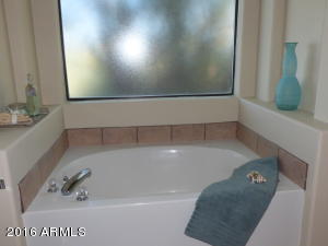 2970 N Geronimo Rd, Apache Junction, AZ 85119 photo 35