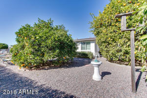 5639 E Adobe Rd, Mesa, AZ 85205 photo 23