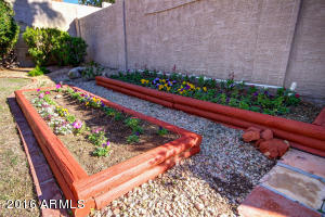 6102 E Star Valley St, Mesa, AZ 85215 photo 35