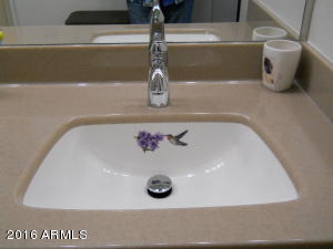 2918 E Melody Ln, Gilbert, AZ 85234 photo 14