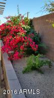 2805 E Trigger Way, Gilbert, AZ 85297 photo 35