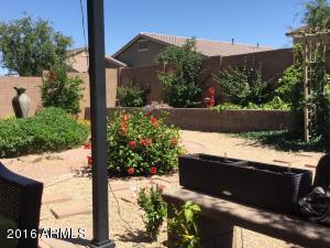 2805 E Trigger Way, Gilbert, AZ 85297 photo 36