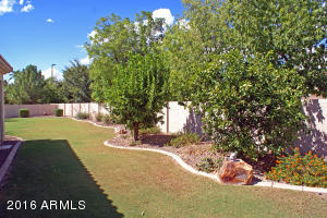 1122 Eli Ct, Gilbert, AZ 85295 photo 15