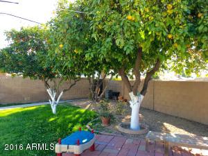 7327 N 23rd Dr, Phoenix, AZ 85021 photo 9