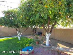 7327 N 23rd Dr, Phoenix, AZ 85021 photo 41