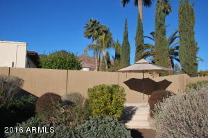 2408 E Cinnabar Ave, Phoenix, AZ 85028 photo 39