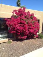 2408 E Cinnabar Ave, Phoenix, AZ 85028 photo 42