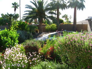 2408 E Cinnabar Ave, Phoenix, AZ 85028 photo 37