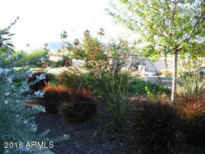 2408 E Cinnabar Ave, Phoenix, AZ 85028 photo 43