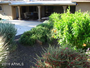 2408 E Cinnabar Ave, Phoenix, AZ 85028 photo 34