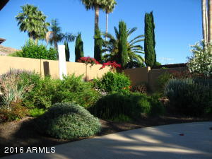 2408 E Cinnabar Ave, Phoenix, AZ 85028 photo 40