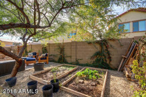 9357 W Milkweed Loop, Phoenix, AZ 85037 photo 26