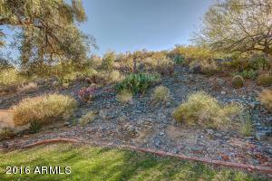 15406 S 16th Pl, Phoenix, AZ 85048 photo 8