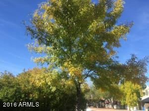 2537 E Coolidge St, Phoenix, AZ 85016 photo 8