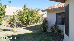 526 S Jacob St, Gilbert, AZ 85296 photo 20