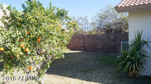 526 S Jacob St, Gilbert, AZ 85296 photo 51