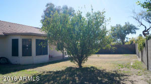 526 S Jacob St, Gilbert, AZ 85296 photo 22