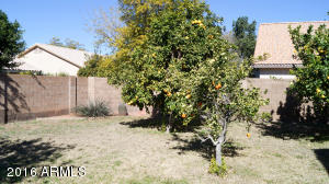526 S Jacob St, Gilbert, AZ 85296 photo 21