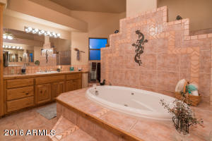 8821 E Mclellan Rd, Mesa, AZ 85207 photo 23