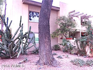 4201 E Camelback Rd #31, Phoenix, AZ 85018 photo 6