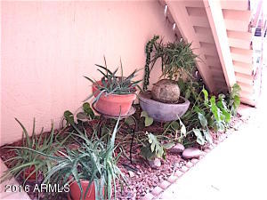 4201 E Camelback Rd #31, Phoenix, AZ 85018 photo 4
