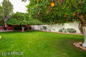 4145 E Hope Cir, Mesa, AZ 85205 photo 48