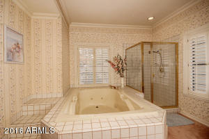 4145 E Hope Cir, Mesa, AZ 85205 photo 39