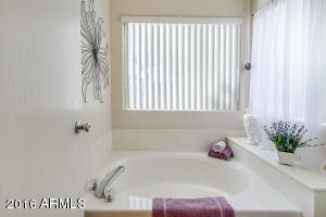 1687 E Saratoga St, Gilbert, AZ 85296 photo 23