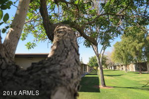 4328 E Capri Ave #196, Mesa, AZ 85206 photo 13
