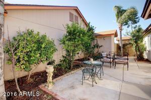 1055 N Recker Rd #1237, Mesa, AZ 85205 photo 16