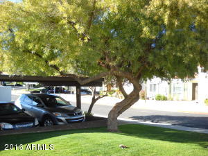 3073 E Cannon Dr, Phoenix, AZ 85028 photo 6