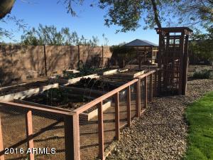 229 E Tanya Rd, Phoenix, AZ 85086 photo 19